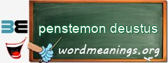 WordMeaning blackboard for penstemon deustus